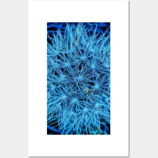 closeup detail onion seed head in blue style Posters and Art